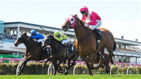 UBET Emirates Stakes Betting Guide Tips and preview .